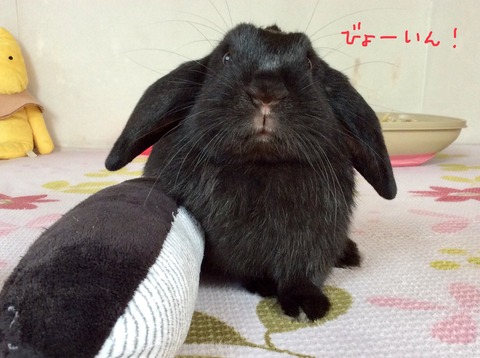 D59C1924-3E51-4853-B577-6DBF1003F0E3