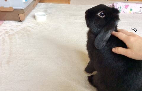 B73743F1-76E9-4257-9A95-E8E5DDCB40E7