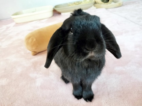 16547298-F5A8-432D-9495-CFAF57D729D4