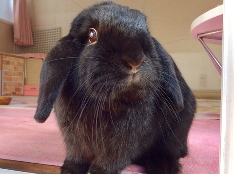 561CD792-D1A9-49C9-8559-B81B769DA846