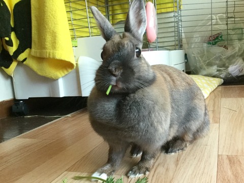 0AF55BAA-8938-4214-9EC1-1262F1A238A5