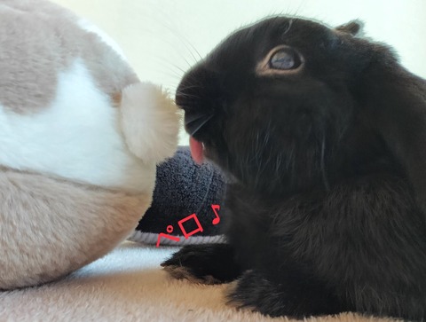 2B53188D-C0C8-46FC-A1C4-715A4284B5BD