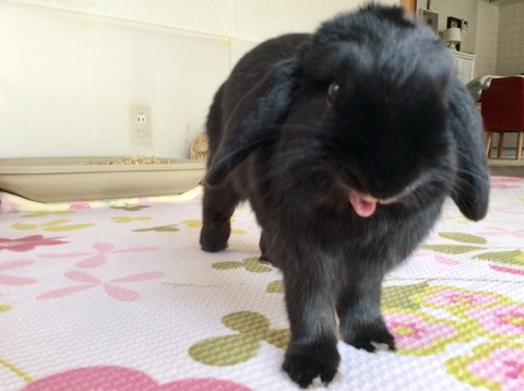 58939B0E-D2FD-47CC-8D25-05BEA94FB5F0