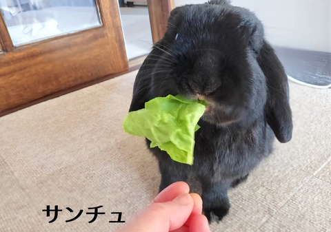 249E5F74-4B90-4AAE-A8B5-E3073F512475