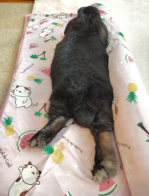 180FC20E-9B37-4059-92BF-DFE527A2FAF5