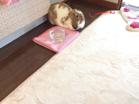 8B7C3208-8C18-4A88-A845-0A600540C746