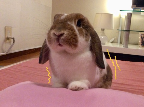 E88FCC34-6A23-405E-9FAE-A313D15F6D88