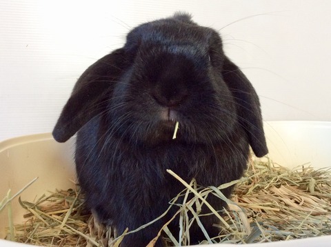 B7874185-7CF4-4B81-9601-BA20E0E94D04