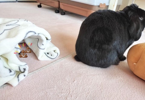 E50BEC2E-1541-4F91-A928-E7293659A0F6