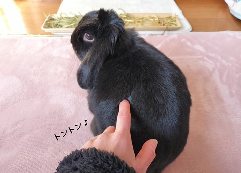 F5DD6AD0-606C-43D5-A1BF-F20A40823743