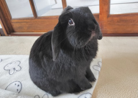 999C0B81-E7C1-444D-A8A0-B843FA8BB35C