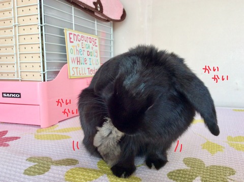 632415DF-43CD-4437-8167-95CE6FDF6968