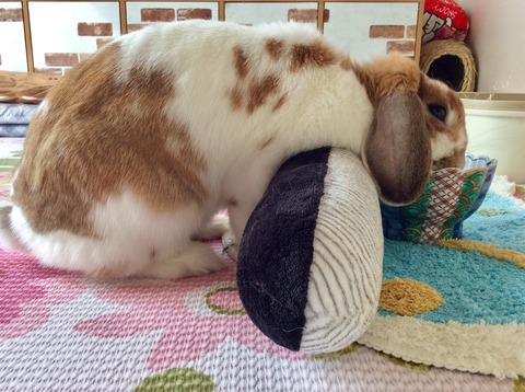 0F85CE5D-7F28-4447-A555-F37B7D52D250