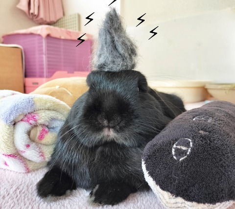 2DDAEA79-8903-49E0-B61C-01D72B452C7D