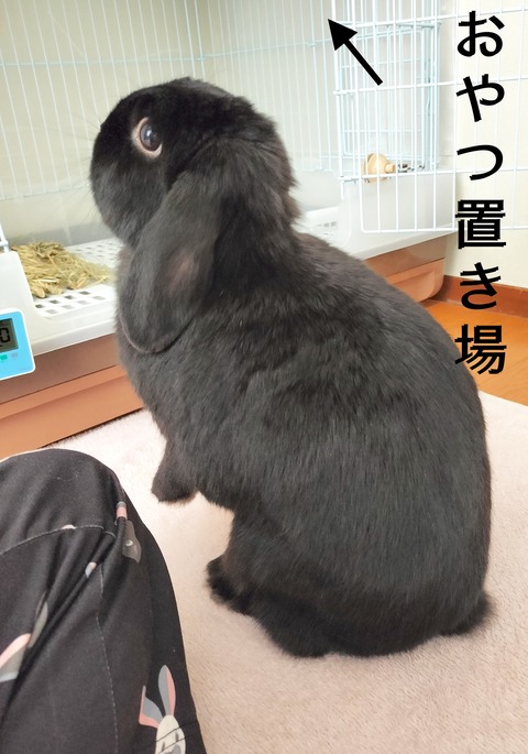 40C4053A-B142-4B6E-AE7B-3AA82738D0F5