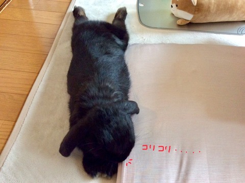 D76BD203-75A7-484D-B2C1-54E3D5394F31