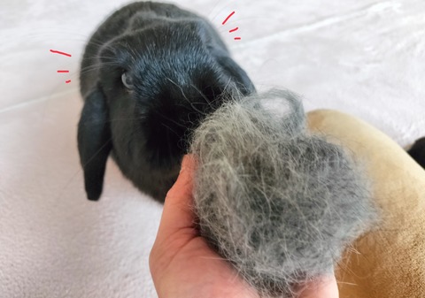 02355BB9-FC2C-4CAC-A12F-AB505D45579E