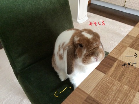 5D6DEFAA-7A80-4C26-A180-23E1DCBDBD4F