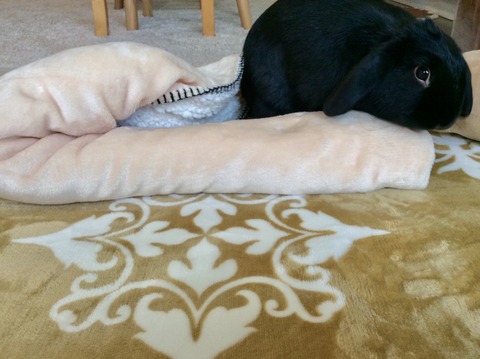 C4440AD0-652B-4308-B9B0-D0EB5DCF7165