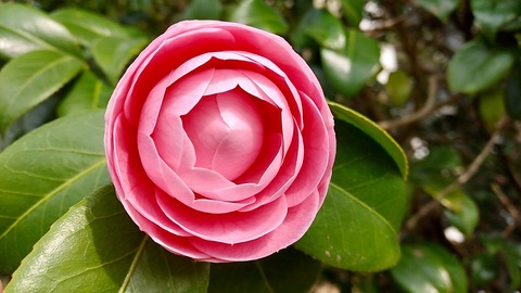 D80CC276-5E1D-41C7-9D67-7B02D60D89AC