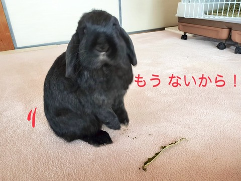 091FB191-E95E-47A0-BD0D-C6EC9B787BFE