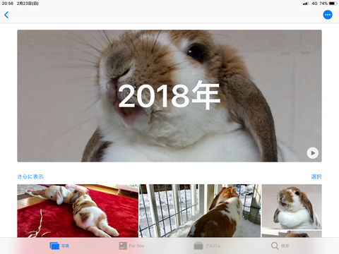 A80442A5-52A8-4CC1-89F7-1ED449E8135F