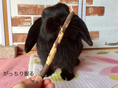 C7D4D466-6922-46B1-9E06-B941E0BB9E5F