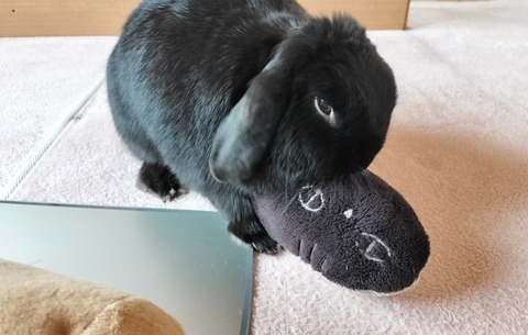 078485A9-5B1C-4DAD-AD0E-09CFBEFCD6C1