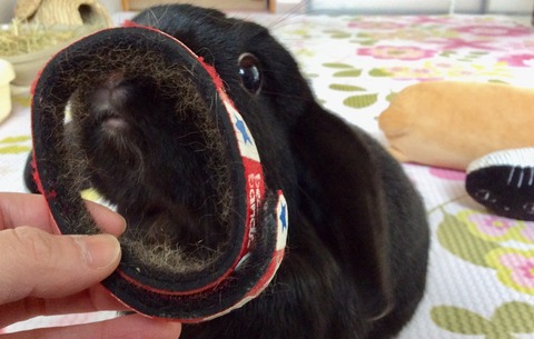 9118B56B-1D7B-4043-A252-8241BDB9D560