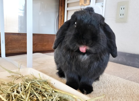 0BC5EC7E-D3EB-47AE-A430-0D4861313AF5