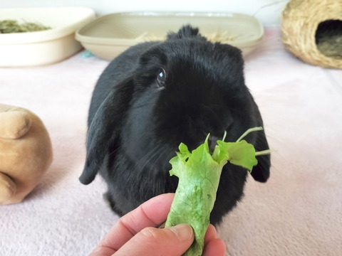 EC2640CF-F65A-4ED8-8395-6D3040DCDD9D