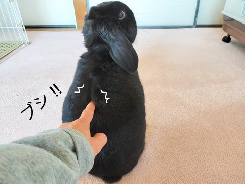 04CFDDEE-5984-4150-991F-1A847228F329