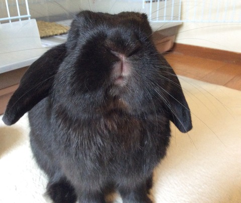 4D041FEA-B56D-4F17-AF7D-F05909DDA6AE