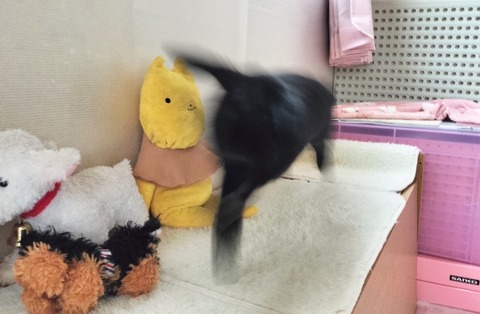 C0C93B40-6F5B-4F59-B065-BAAC164E2EA4