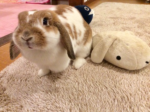 A2D8012F-BE9A-4842-8854-084C13505CA4