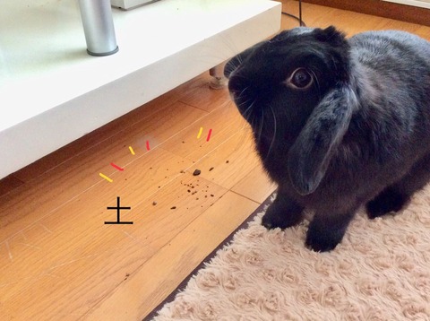 96D60B03-3D44-46B7-B52B-140217D6EDF9