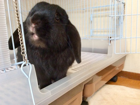 F819C4AA-9ADC-4DC9-BF60-7F57BFC06092