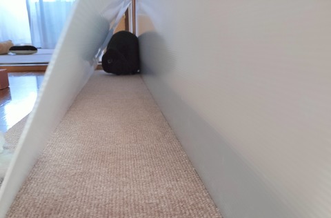 642F8124-C844-436B-B248-F5CF53B6EEB2