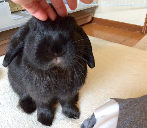 389BEFE0-9F80-4D64-9CBD-48C280FEEF3B