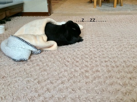 51BE8299-E87D-451E-82A9-7695FEF016DA