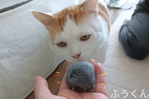 4D87452E-5152-4195-BCBE-F130A02E2B8F