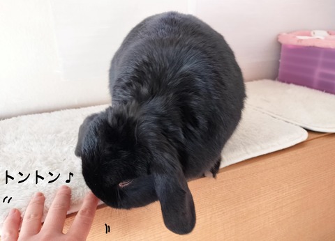 EE18F14F-A2B8-40F6-9DC5-859B3D56CD3E