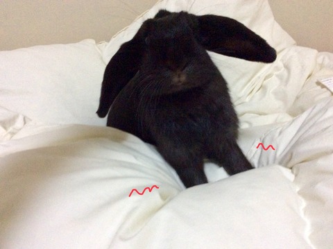 3BA206FC-1CC4-44AC-A99D-BF2BA8B32EF4