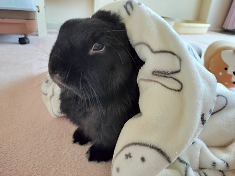 E52F837E-2734-4F84-9BA4-E4D1CDD73D49