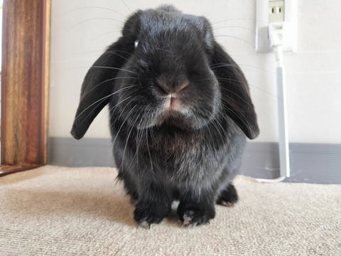 14615C3F-E3EF-4B77-A388-88A0BB81715C