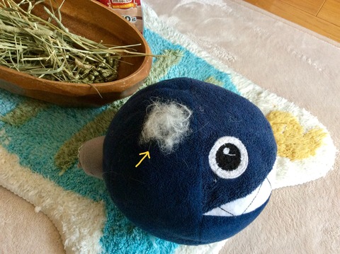 9E345CEB-2000-461E-B2EB-08FE89CDC15A