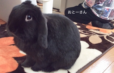 341D113C-02AF-464B-BE9E-AF7C352B0F82