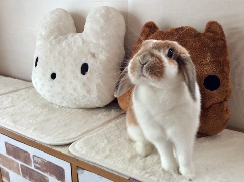 16C0CEF5-2906-4242-8F46-D0D62D54700F