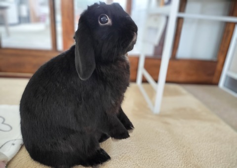 3CF861D2-EFA9-467D-8755-216218915634