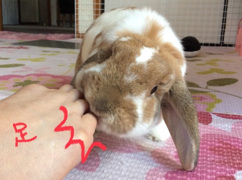 D0B8AAFB-1C0D-4931-A7B6-3B684FA42FBD